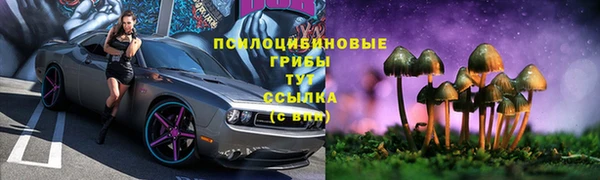 спайс Аркадак