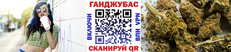 kraken как войти  продажа наркотиков  Луза  Бошки Шишки Amnesia 